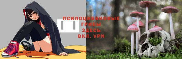 кокаин премиум Гусь-Хрустальный
