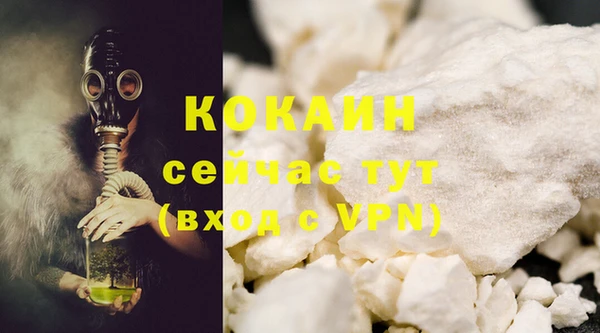 скорость Гусев