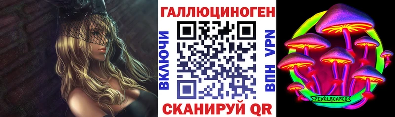 Галлюциногенные грибы Psilocybe  Пикалёво 